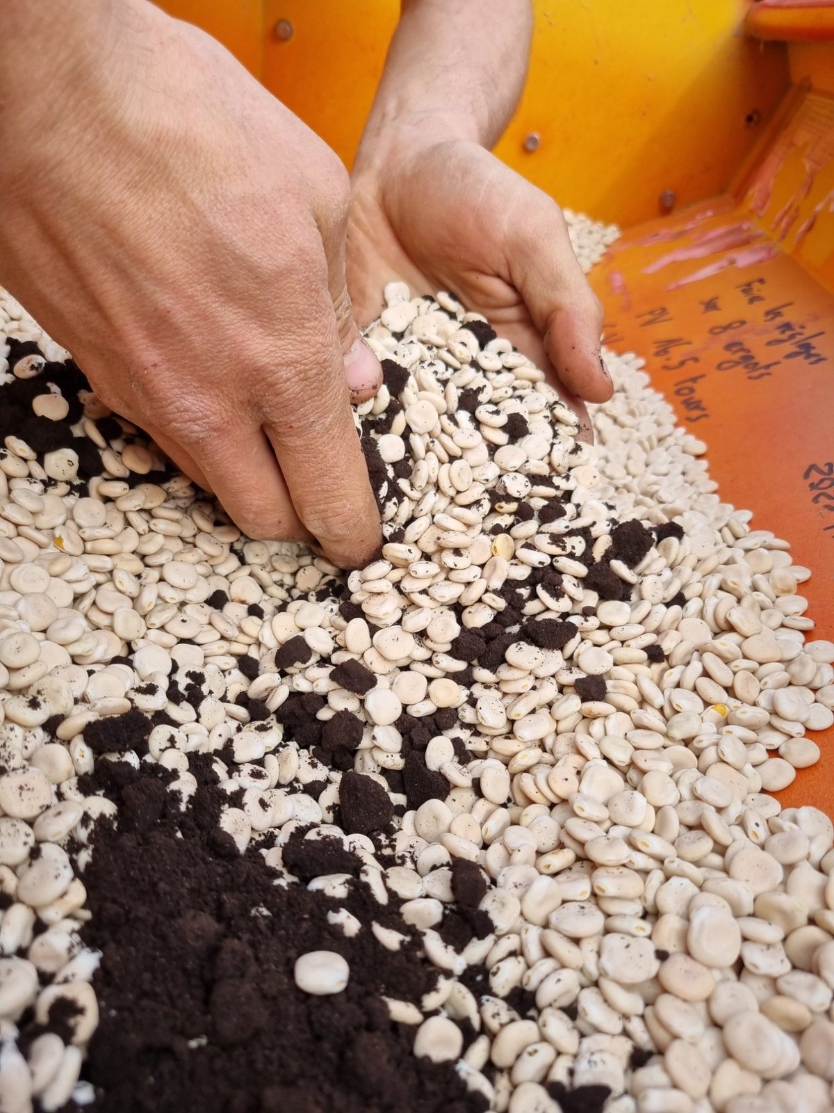 Transformation artisanale